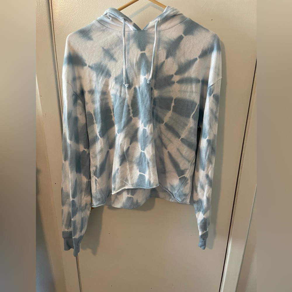 Altard state cropped hoodie